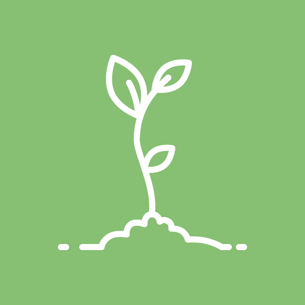 Kevadine lilleseade, 1-päevane lühikursus