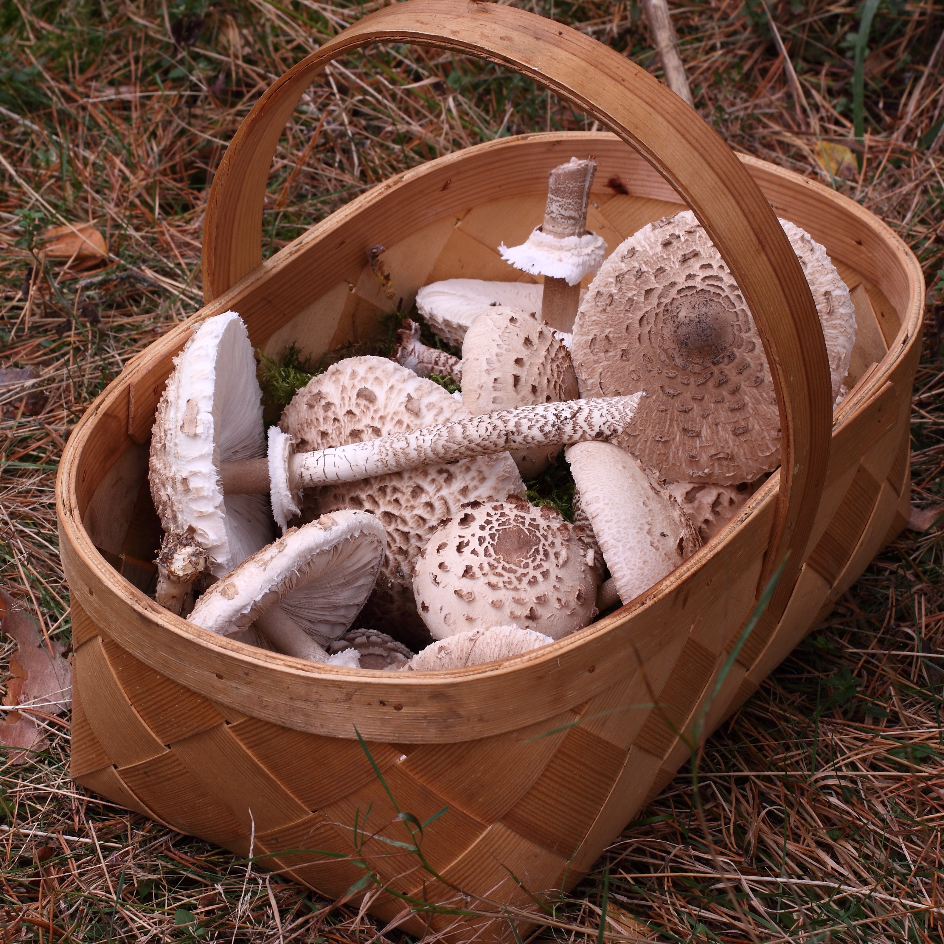 Foto: erakogu